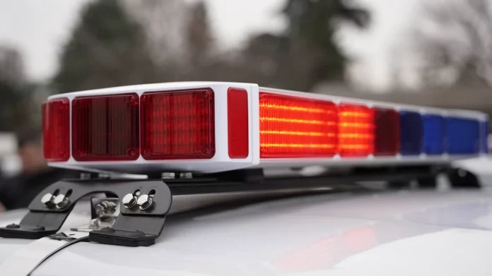 Ndalohet një 39 vjeçar nga Bogdanci  dyshohet se ka vrarë nënën e tij