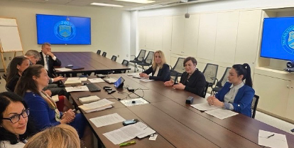 Partneritet strategjik me Thesarin amerikan