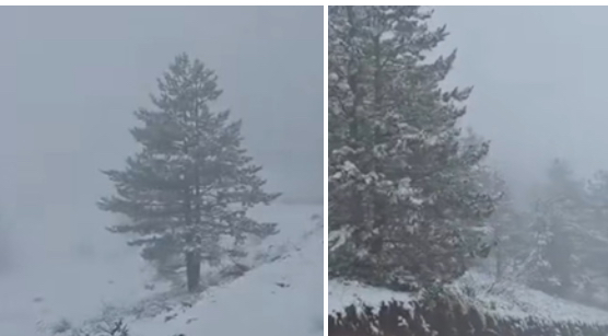 Bora zbardhi sot malësinë e Dibrës  Video 