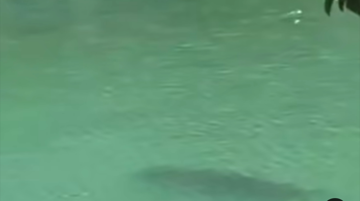 Një hije e çuditshme në Liqenin e Likovës  dyshohet për peshk gjigand  Video 